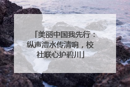 美丽中国我先行：纵声澧水传清响，校社联心护碧川