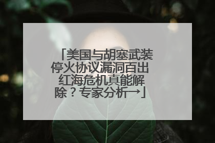 美国与胡塞武装停火协议漏洞百出 红海危机真能解除？专家分析→