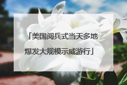 美国阅兵式当天多地爆发大规模示威游行