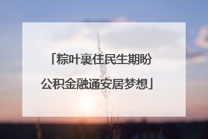 粽叶裹住民生期盼 公积金融通安居梦想