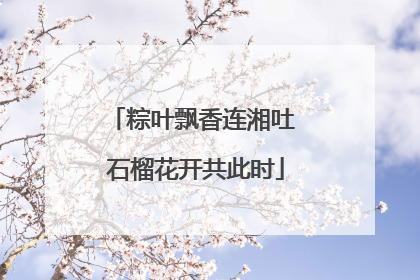 粽叶飘香连湘吐 石榴花开共此时