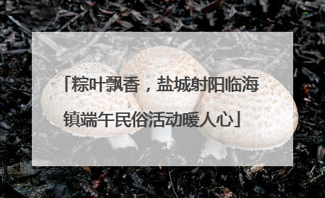 粽叶飘香，盐城射阳临海镇端午民俗活动暖人心
