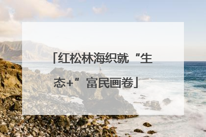 红松林海织就“生态+”富民画卷