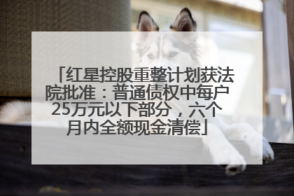 红星控股重整计划获法院批准：普通债权中每户25万元以下部分，六个月内全额现金清偿
