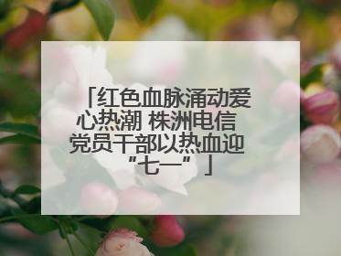 红色血脉涌动爱心热潮 株洲电信党员干部以热血迎“七一”