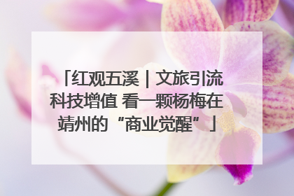 红观五溪｜文旅引流 科技增值 看一颗杨梅在靖州的“商业觉醒”
