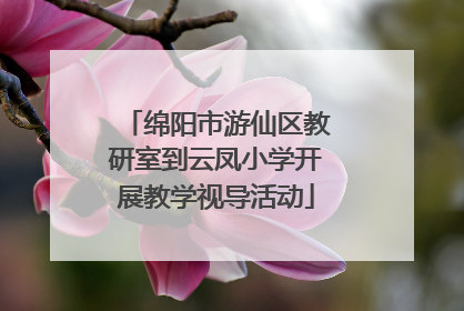 绵阳市游仙区教研室到云凤小学开展教学视导活动
