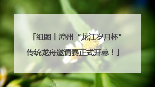 组图丨漳州“龙江岁月杯”传统龙舟邀请赛正式开幕！
