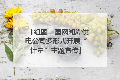 组图｜国网湘潭供电公司多形式开展“计量”主题宣传
