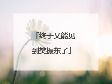 终于又能见到樊振东了