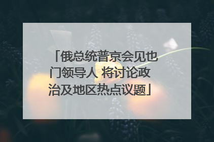 俄总统普京会见也门领导人 将讨论政治及地区热点议题