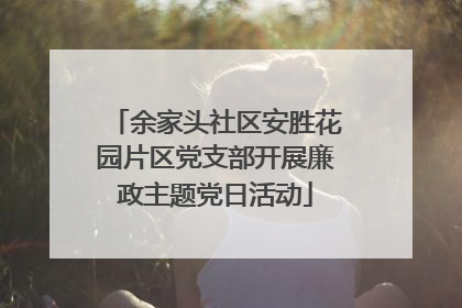 余家头社区安胜花园片区党支部开展廉政主题党日活动