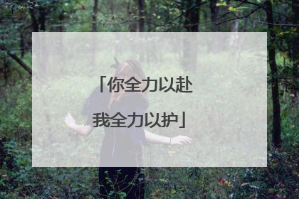 你全力以赴 我全力以护