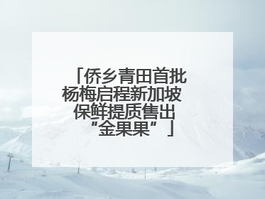 侨乡青田首批杨梅启程新加坡 保鲜提质售出“金果果”