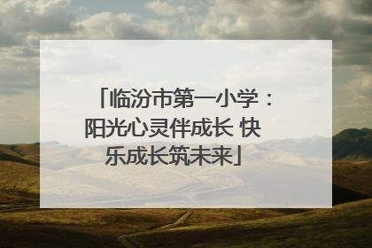 临汾市第一小学：阳光心灵伴成长 快乐成长筑未来