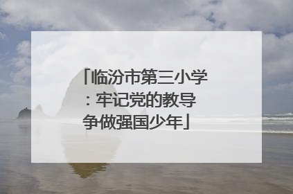 临汾市第三小学：牢记党的教导 争做强国少年