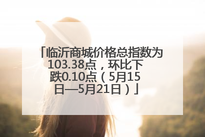 临沂商城价格总指数为103.38点，环比下跌0.10点（5月15日—5月21日）