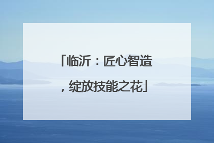 临沂：匠心智造，绽放技能之花