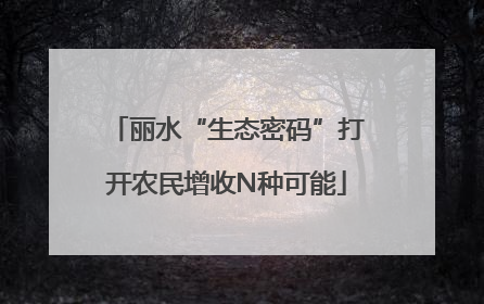 丽水“生态密码”打开农民增收N种可能