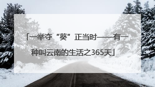 一举夺“葵”正当时——有一种叫云南的生活之365天
