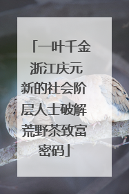 一叶千金 浙江庆元新的社会阶层人士破解荒野茶致富密码