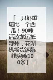 一只虾重堪比一个西瓜！90吨活波龙运抵鄂州，花湖机场货运航线突破100条