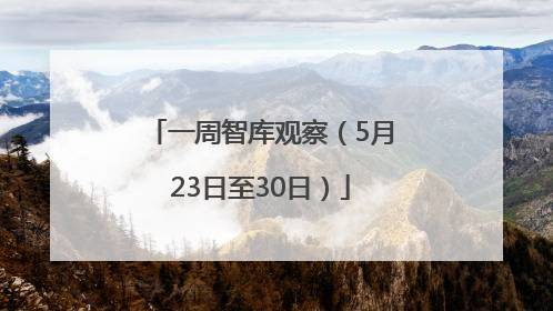 一周智库观察（5月23日至30日）