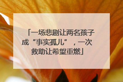 一场悲剧让两名孩子成“事实孤儿”，一次救助让希望重燃