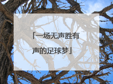 一场无声胜有声的足球梦