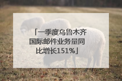 一季度乌鲁木齐国际邮件业务量同比增长151%