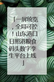 一屏统览，全局可控！山东港口日照港粮食码头数字孪生平台上线
