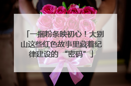 一捆粉条映初心！大别山这些红色故事里藏着纪律建设的 “密码”