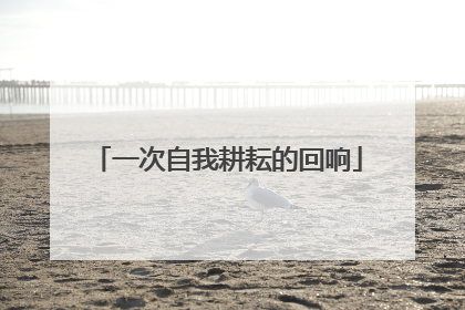 一次自我耕耘的回响