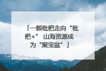 一颗枇杷走向“枇杷+” 山海资源成为“聚宝盆”