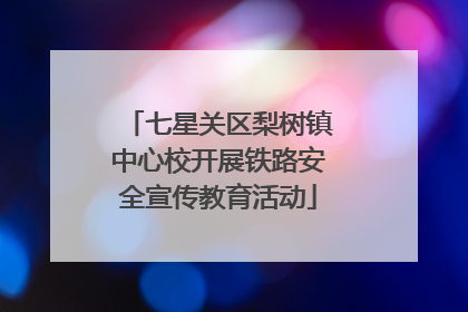 七星关区梨树镇中心校开展铁路安全宣传教育活动
