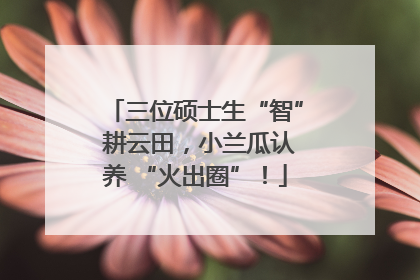 三位硕士生“智” 耕云田，小兰瓜认养 “火出圈”！