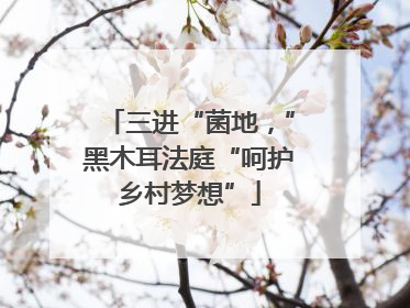 三进“菌地，”黑木耳法庭“呵护乡村梦想”