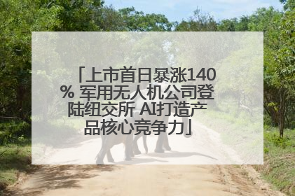 上市首日暴涨140% 军用无人机公司登陆纽交所 AI打造产品核心竞争力
