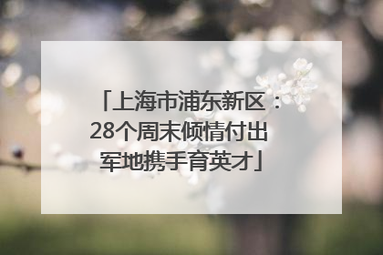 上海市浦东新区：28个周末倾情付出 军地携手育英才