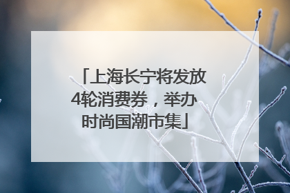 上海长宁将发放4轮消费券，举办时尚国潮市集