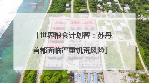 世界粮食计划署：苏丹首都面临严重饥荒风险