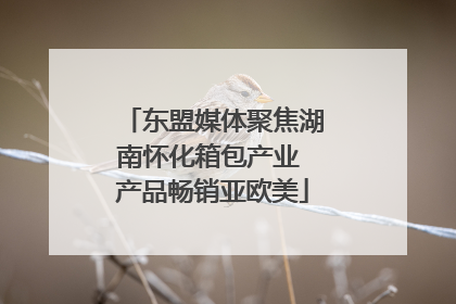 东盟媒体聚焦湖南怀化箱包产业 产品畅销亚欧美