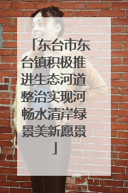 东台市东台镇积极推进生态河道整治实现河畅水清岸绿景美新愿景