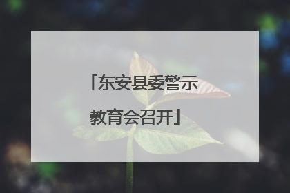 东安县委警示教育会召开