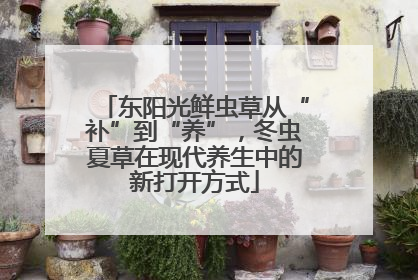 东阳光鲜虫草从“补”到“养”，冬虫夏草在现代养生中的新打开方式