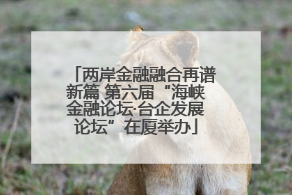 两岸金融融合再谱新篇 第六届“海峡金融论坛·台企发展论坛”在厦举办