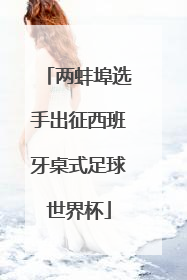 两蚌埠选手出征西班牙桌式足球世界杯