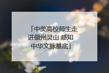 中美高校师生走进徽州灵山 感知中华文脉基底
