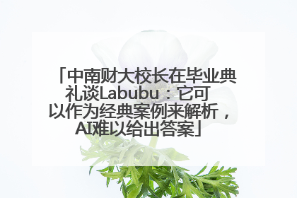 中南财大校长在毕业典礼谈Labubu：它可以作为经典案例来解析，AI难以给出答案