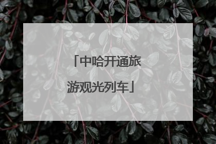 中哈开通旅游观光列车
